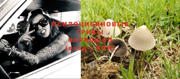 мет Надым