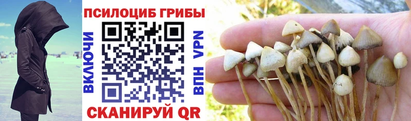 Галлюциногенные грибы Magic Shrooms  Щёлкино 